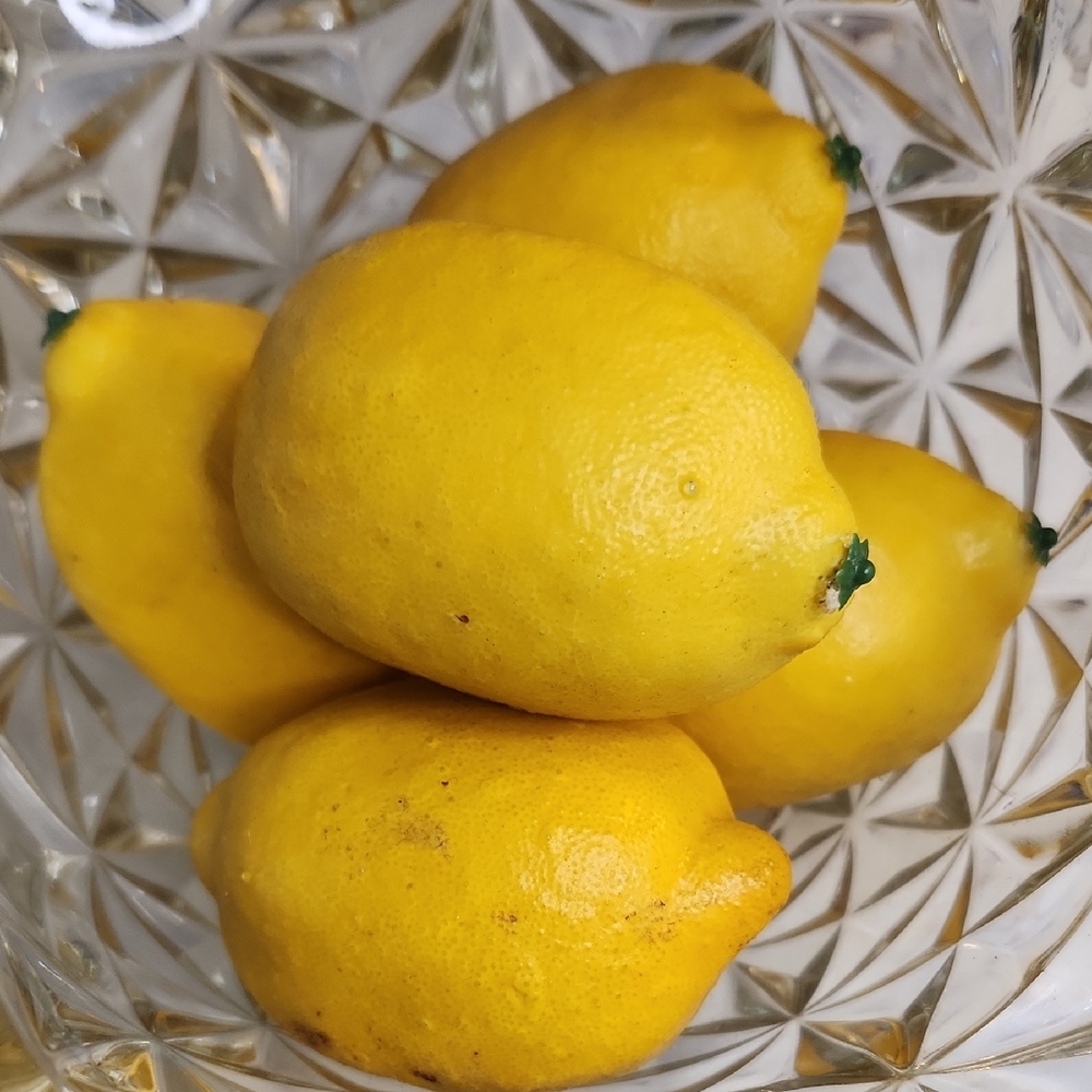 Decorative 🍋 Yellow Lemons (5) Vintage Look & Feel Way Real 🍋